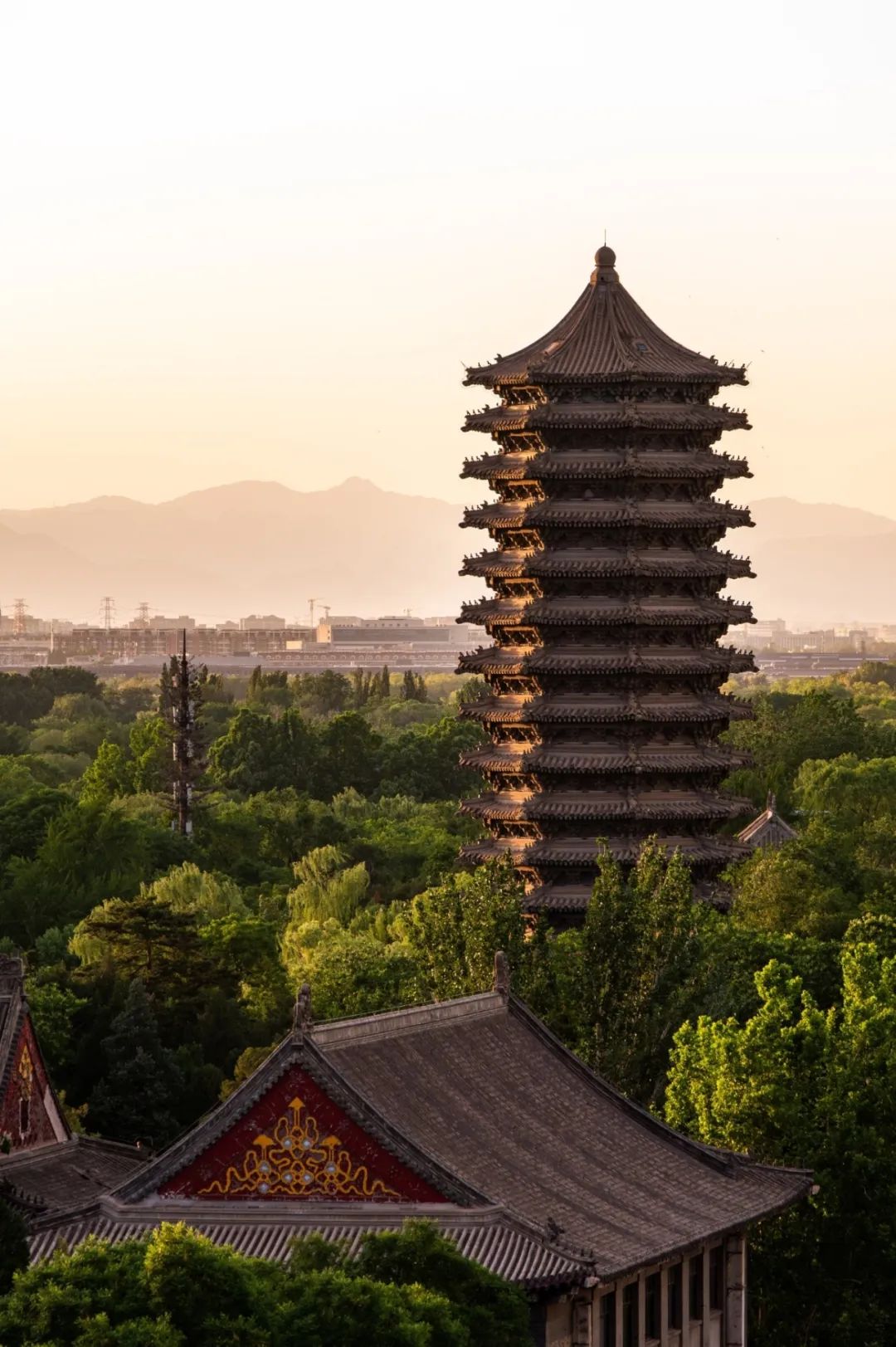 Haijun Yu Awarded the Boya Postdoctoral Fellowship