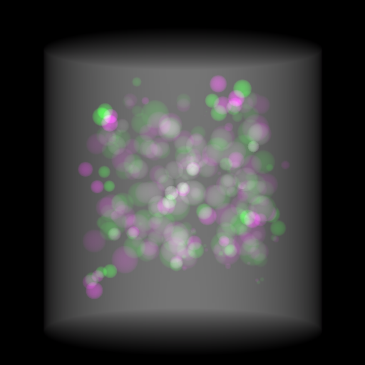 Complementary-View Perspective Distortion Correction Published in IEEE TRPMS
